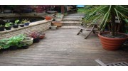 Decking wood cleaning