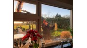 Window Cleaning